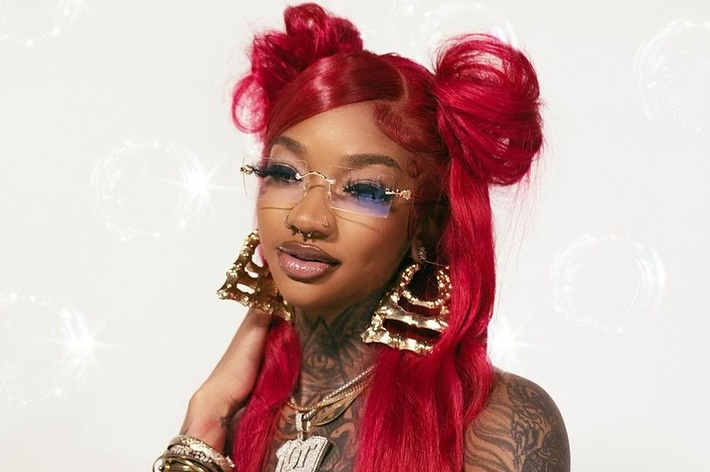 A woman with red hair in two high buns wearing glasses, large gold earrings, and multiple gold bracelets poses against a white background